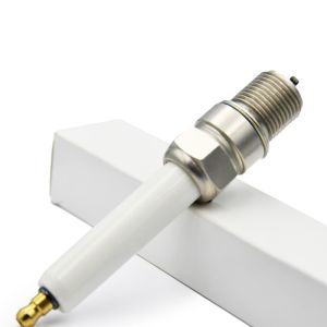 Double Iridium Industrial Spark Plug R5GL12-77 for MWM L1863B L1863DP L1863IP