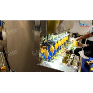 Dried Fruit Production Line Tropical Fruit Processing Machinery Expert