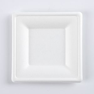 6 7 8 9 10Inch Disposable Sugarcane Fiber Plates 100% compostable and biodegrada