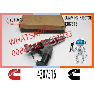 XF Parts QSM ISM QSM11 ISM11 M11 Engine Diesel Fuel Injector 4307516 3095040