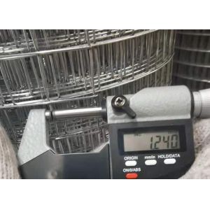 5/8'' Mesh Size Electric Galvanized Welded Wire Mesh with Galvanized Before