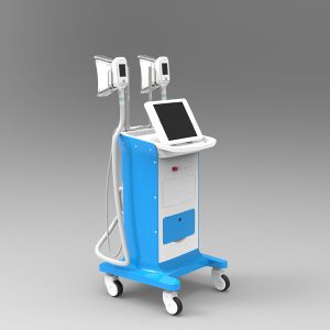 Professinal weight loss lipo freeze machine slimming machine fat freeze for