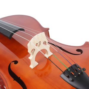 China Wholesale Hand Made Solid Spruce Maple Cello The back of a cello is often