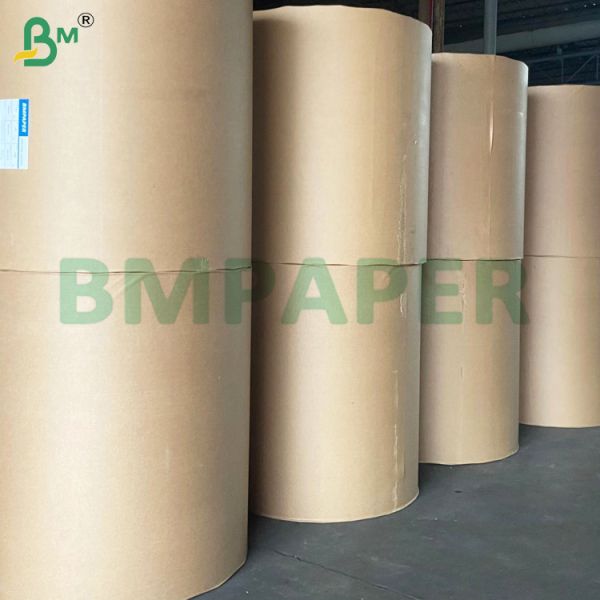 Quality High Temperature Resistant Silicone Coated Paper Rolls for Baking wholesale