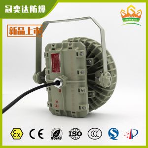 ATEX IECEx Certified Explosion Proof LED High Bay Light | IP66 Waterproof Anti