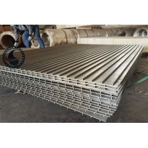 SS316L Wedge Wire Screen Panels for Petroleum Filtration