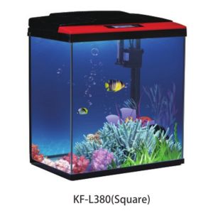 Transparent Acrylic Aquarium Fish Tank 738L Rectangular Shape