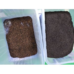 6 Chutes 384 Channels Tea Sorting Machine with high speed camera