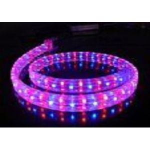 Flexible RGB 12V DC / 24V DC 36 pieces LED Christmas neon flex light Ce & RoHs