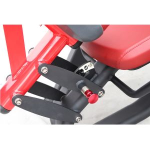 Customizable Color Plate Loaded Leg Curl Machine Maintenance Free Muscle