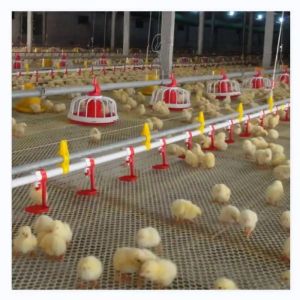 Chicken Coop Automatic Poultry Farm Equipment With Ventilation System