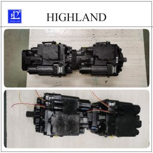 Cheap Discover The Power Of Tandem Hydraulic Pumps With Cast Iron Construction for sale