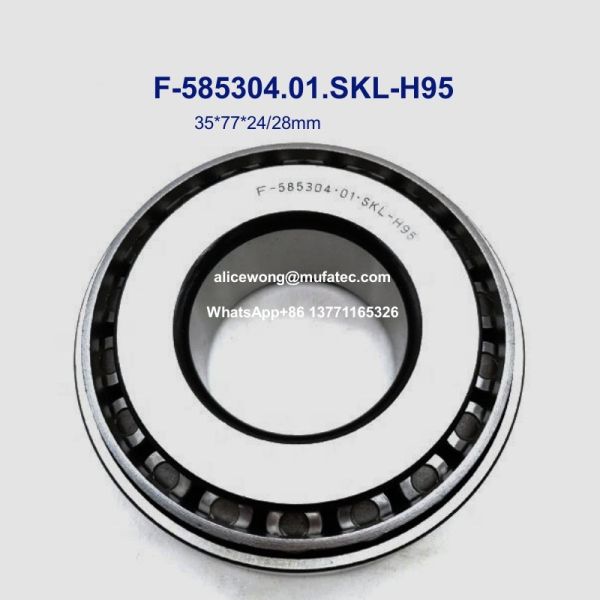 F-585304.01.SKL-H95 F-585304 01 Mercedes-Benz W447 W448 differential bearings