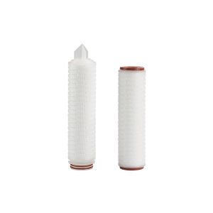 Cheap High Precision 10&quot; Pharmaceutical Pore Structure Asymmetric PES Filter Cartridge for sale