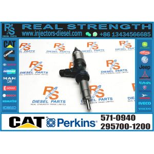c4.4 Fuel Injector 571-0940 295050-0331 295050-0401 295700-1200 295050-1810