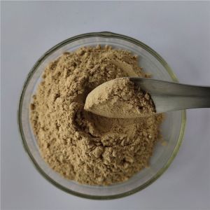 China Indian Bread Extract For Anti Cancer Capsules on sale