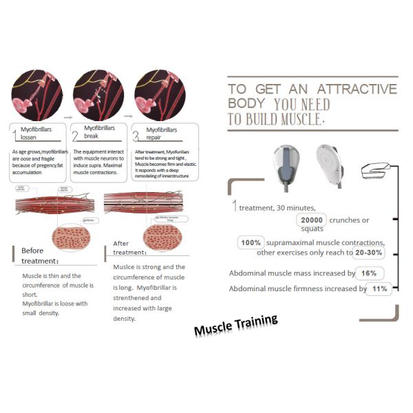 CE 220V LaserTell Ems Electric Muscle Stimulation Unit