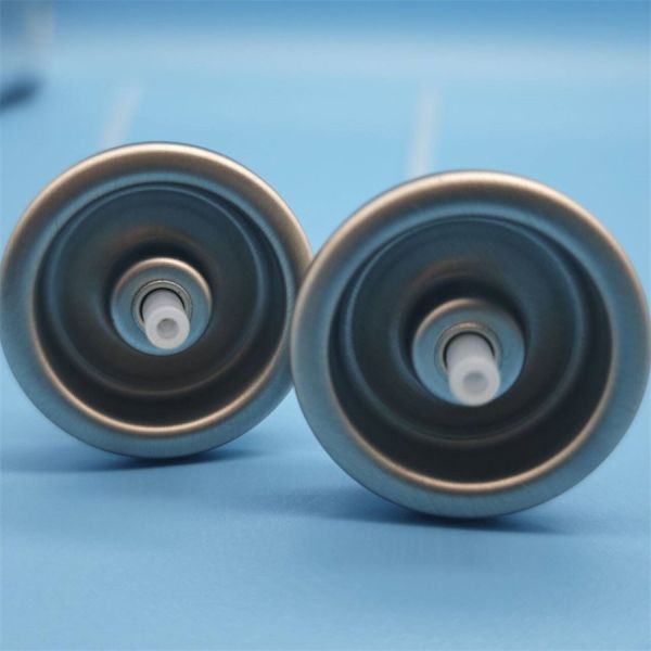 Professional Facial Water Sprayer Valve for Skincare Salons with Precise