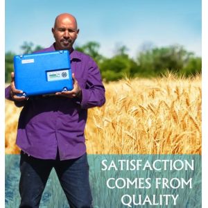 Durable 750W Solar Pv Inverter , Solar Dc To Ac Inverter IP65 Protection