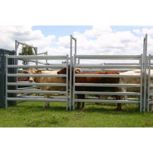 Heavy Duty 30pcs Bundle Heavy Duty Portable Corral Panels For Cattle & Gate for