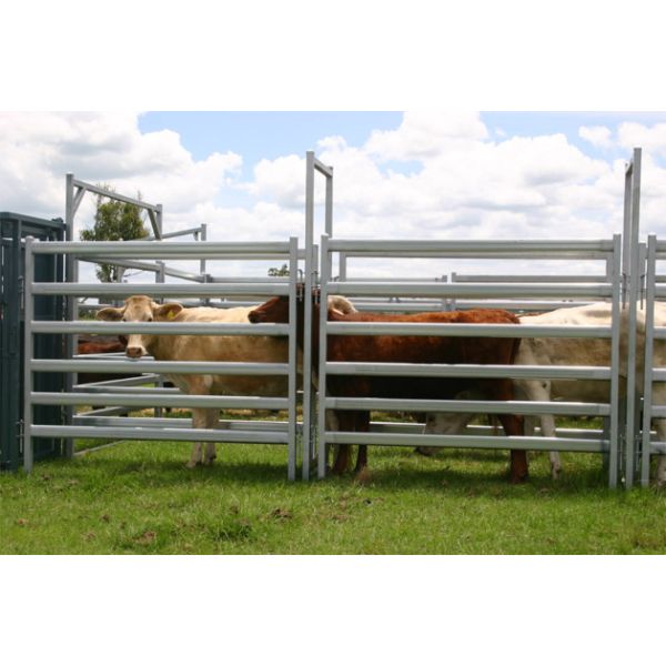 Quality Used Cattle Yards For Sale Cattle Yard Fence Heavy Duty 6 Oval 1.6mm thick 1.8Mx2.1M wholesale