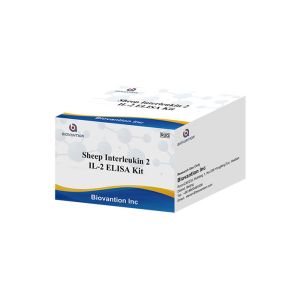 China TCGF RUO Test Kit Sheep Interleukin 2 Test Aldesleukin IL-2 ELISA Kit on sale