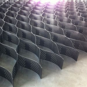 HDPE Textured Plastic Geocell Tree Root Protection Geocellular Confinement 1.1mm