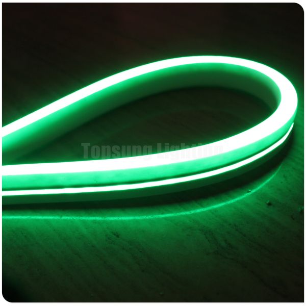 Quality Mini led Flex neon 12V for bridge architecture swimming pool light flat 11x19mm neon-flex wholesale