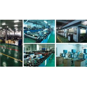 Stand Up Roasted Chicken Packaging Bags With Zip Top hot roast, rotisserie