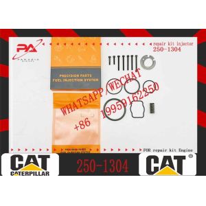 Diesel Engine Injector162-8813 246-1854 250-1311 250-1302 250-1304 250-1303 250