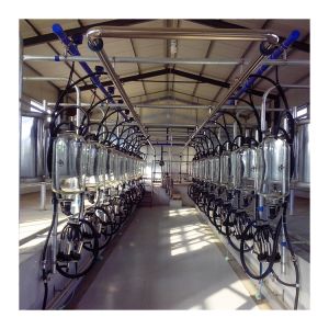 SS304 Herringbone Milking Hall PVC pipeline Parallel Milking Parlor