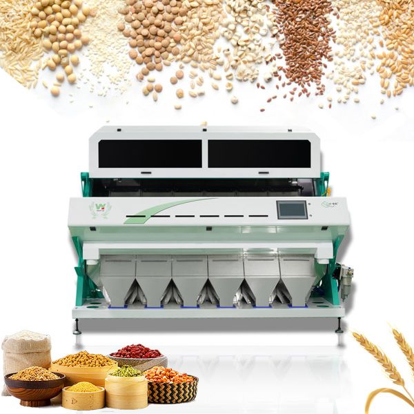 Quality High Sorting Accuracy Coffee Grain Color Sorter Machine Rice Plastic Nut Sorting Equipment Multi-function wholesale