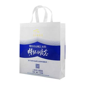 China Breathable Non Woven Polypropylene Shopping Bags Shrink Resistant on sale