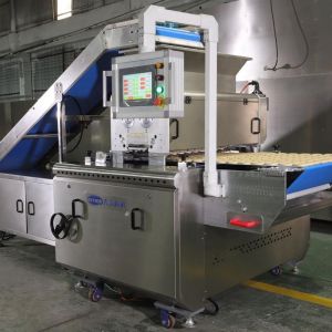 Full Automatic 400kg/h Chocolate Chip Cookie Machine With Tunnel Oven
