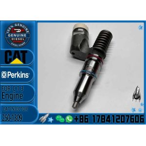 High Quality Diesel Injector Nozzles 249-0713 10R-3262 250-1309 292-3666 239