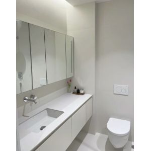 Standard Inclosed Toilet Cistern with Siphon Jet Flush and Efficiency