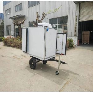 Electric Cargo Mini Cold Room Tricycle with Trailer New Energy Vehicle for
