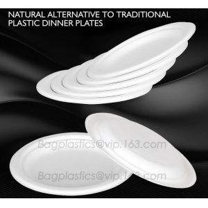 Compostable Clamshell Take Out Food Containers, Natural Disposable Bagasse, Eco