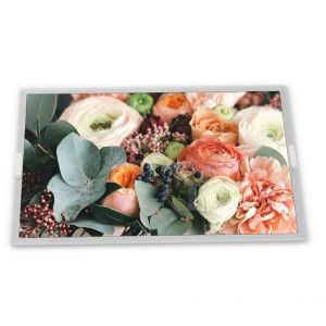 Cheap 15.0-Inch WLED LCD Display Module 1024*768 Resolution Model AC150XA02 and Good LCD Modules for sale