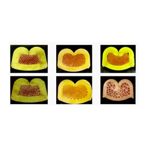 Bench Top Test Crimping Terminal Cross Section Analyzer Machine