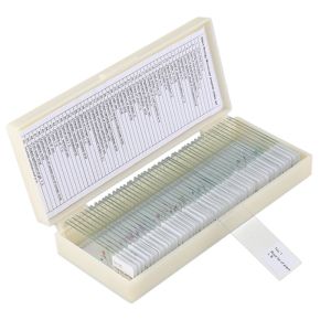 Mixed Plant Animal ODM Microscope Biology Prepared Slides 50pcs SET
