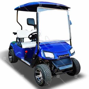 China ODM Mini Road Legal Golf Cart Bus 2 Passenger 60V New Energy Vehicle With Windshield on sale