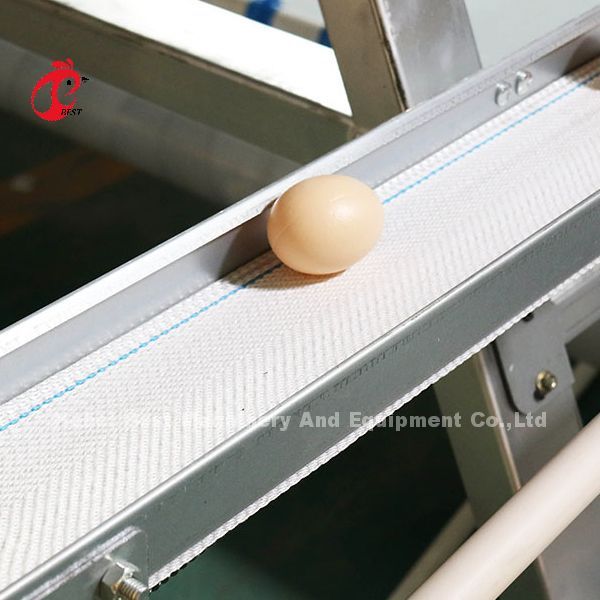 Galvanized Poultry Farming A Type Automatic Cage System For Layers In Nigeria Popular Rose