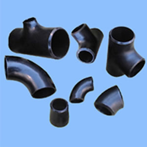 Forged steel flange ASME Pipe fitting