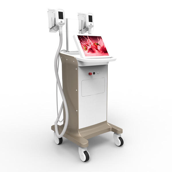 Quality Fat Freeze Machines Cryolipolysis Laser cool sculpting machine with great treatment effect wholesale
