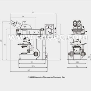 40x - 1000x Learning Fluorescence Microscope Infinity Plan A16.0908