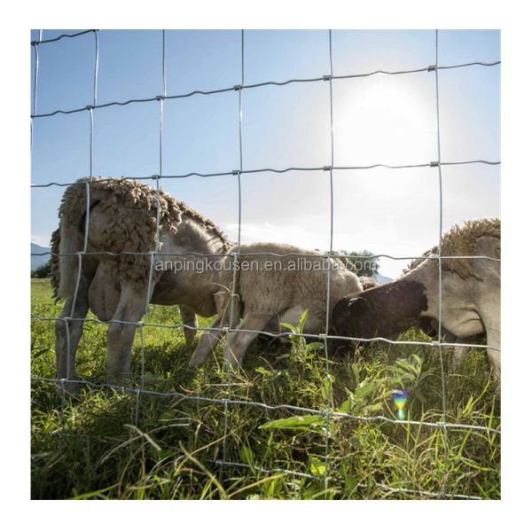 Agriculture Field Hot Dipped Galvanized Steel Wire Mesh Hinge Joint Fence for