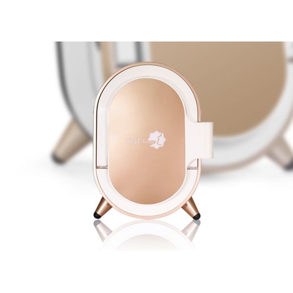 Quality Tablet Skin Scanner Machine , Skin Scanner Beauty Machine RGB UV PL Spectrum wholesale