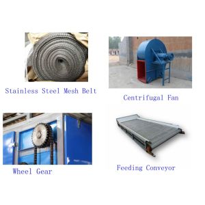 0.2h-1.2h Garlic Dryer Tomato Dehydrator Machine 20.75kw DWT-1.2-10