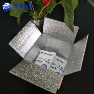 Insulated Aluminium Foil Packaging Cardboard Box Caviar Chocolate Transport HZ